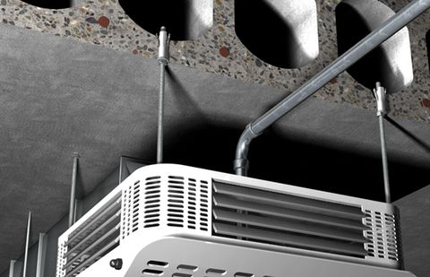 Tắc kê bê tông. Hình ảnh 2